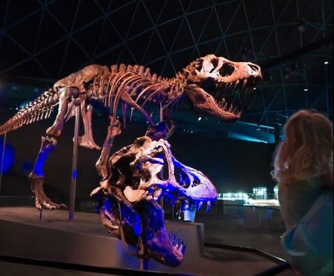 Abu Dhabi to launch Gulf's first natural history museum - Economy ...