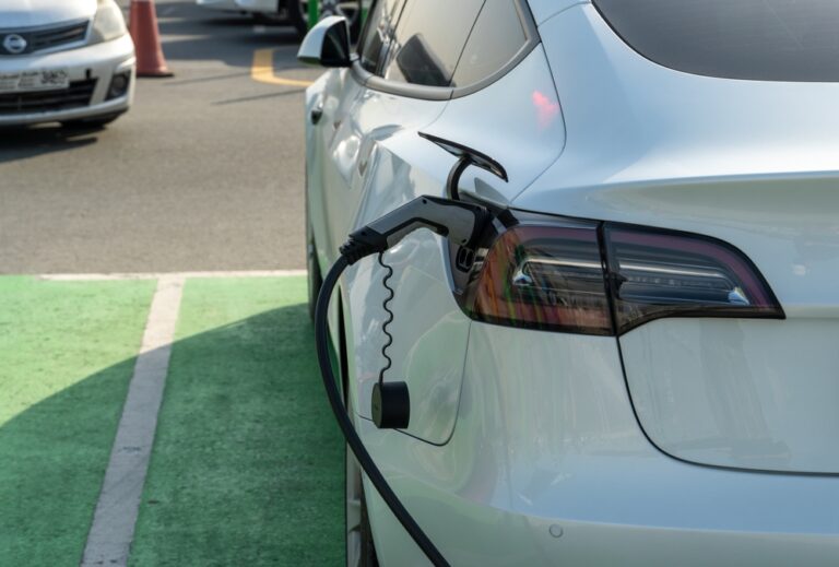 Can electric vehicles dominate the future of automobiles in the region?