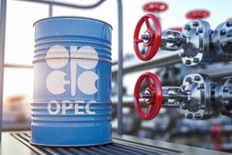 OPEC expects oil demand to rise in the second half of 2022