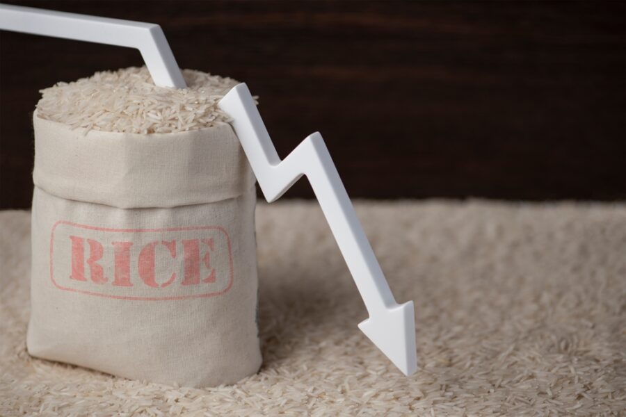أسعار المواد الغذائية العالمية آخذة في الارتفاع.. فهل الأرز الضحية التالية؟