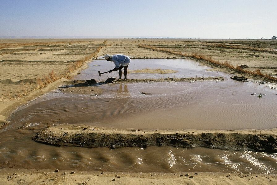 COP27: فرصة لتعريف العالم بفقر مصر المائي
