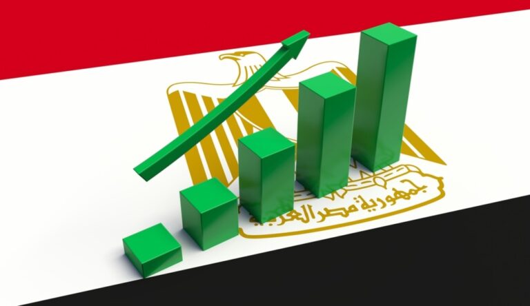 Egypt's monthly inflation rises by 2.5% in October