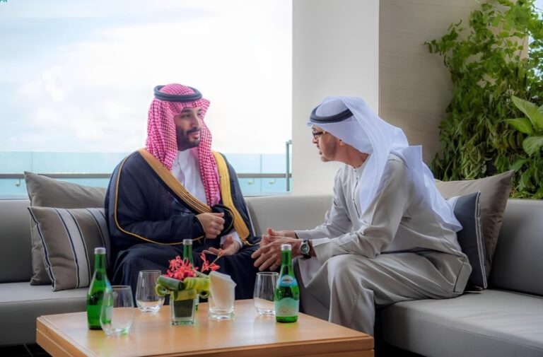 رئيس الإمارات يلتقي وليّ العهد السعودي على هامش "قمة العشرين"
