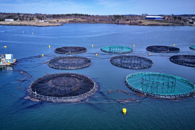 Oman, Singapore supporting sustainable aquaculture growth