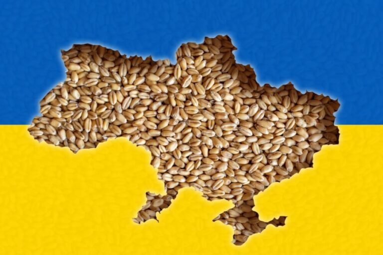 What is the fate of the Ukrainian-Russian grain agreement?