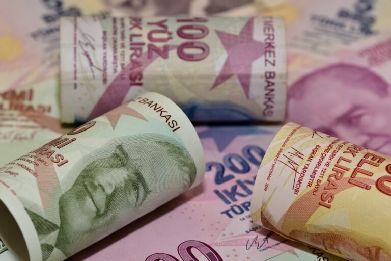 Türkiye's lira hits record: Can it afford return to interest rate cut policies?