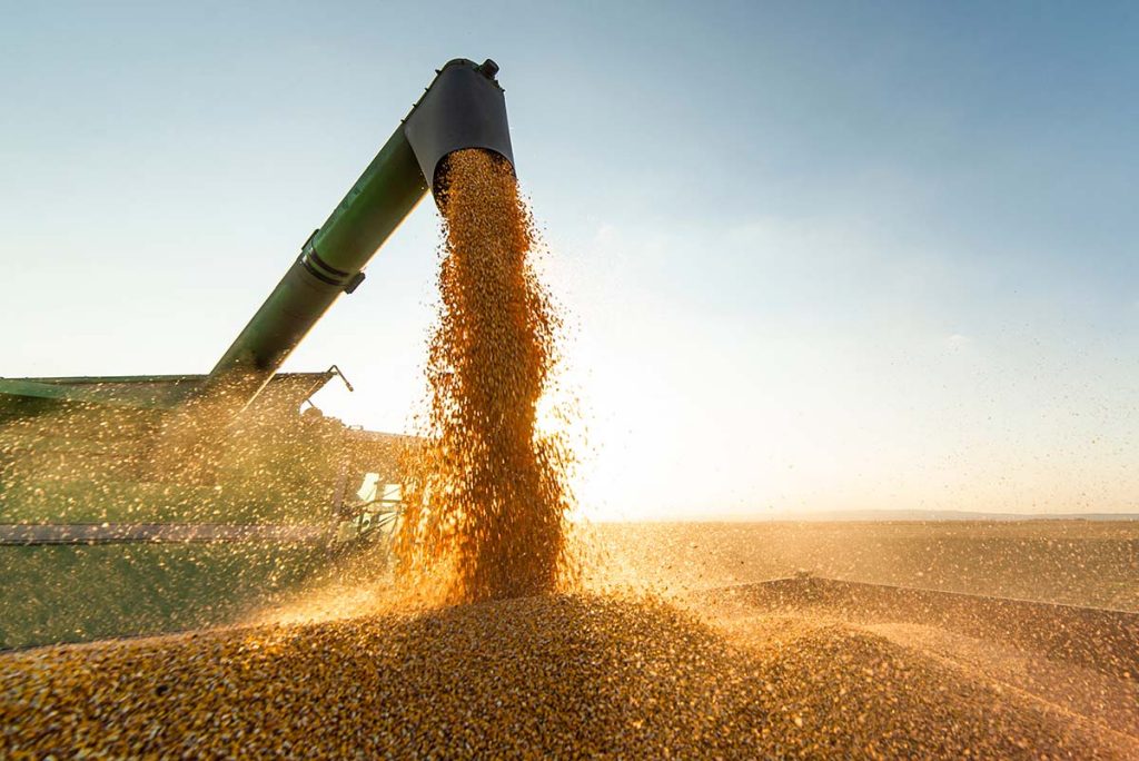 Global food supply disruptions, scarcity, cause for alarm