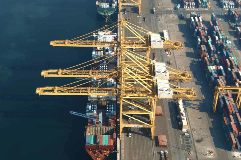Dubai’s DP World in JV with India's NIIF for massive ports project